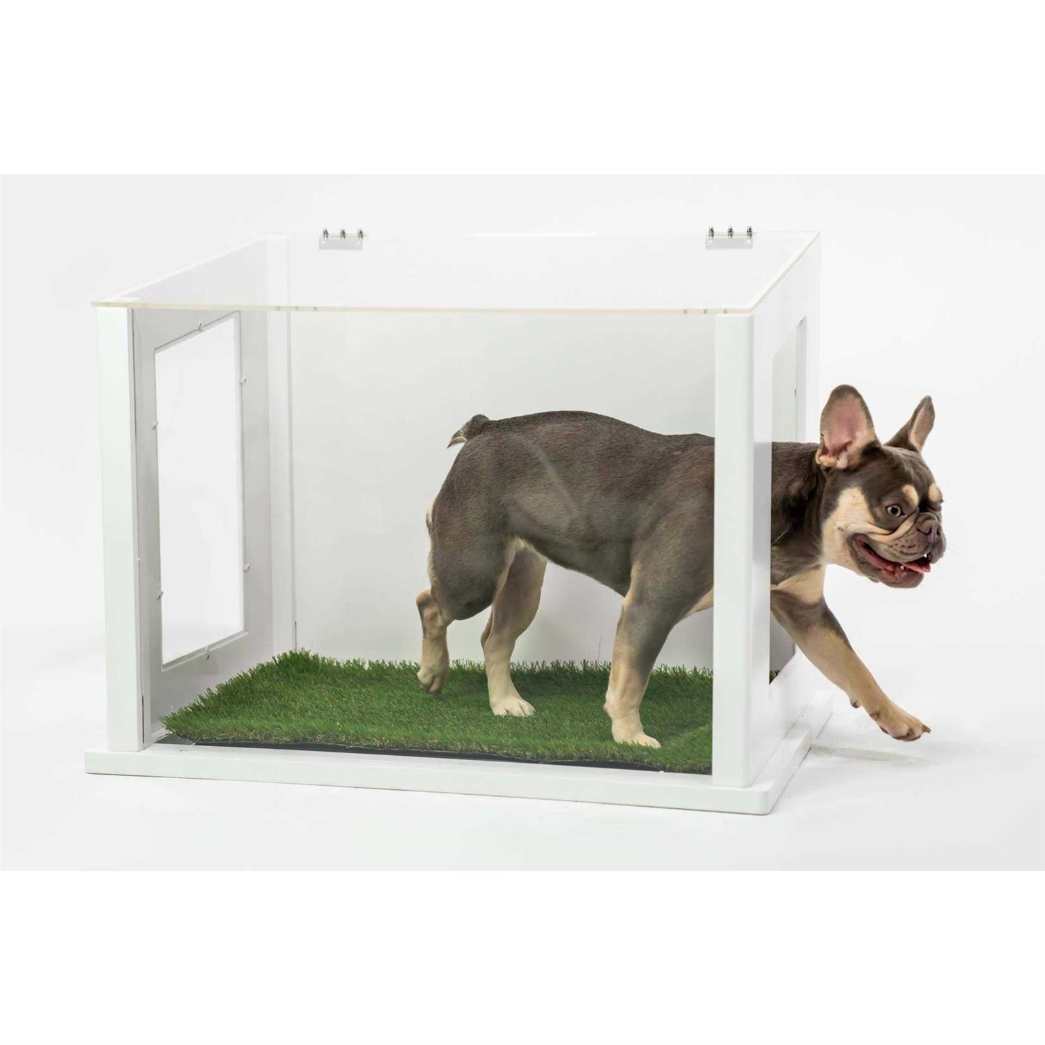 Chic Dog or Cat Potty P408
