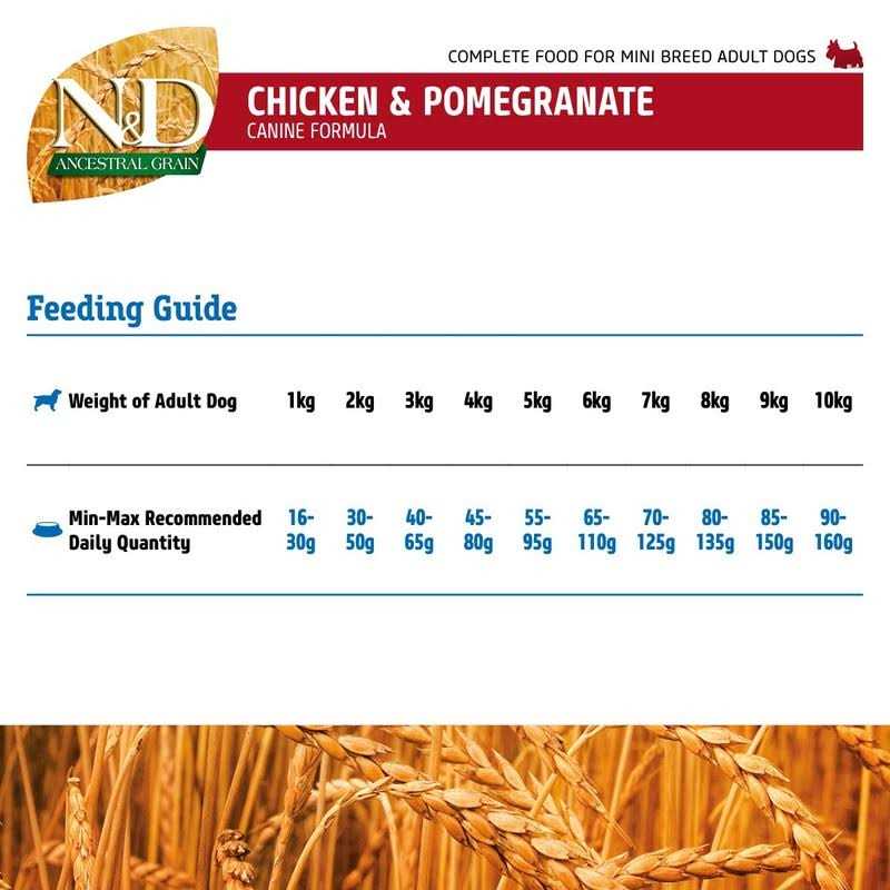 Chicken & Pomegranate Dry Dog Food T23196