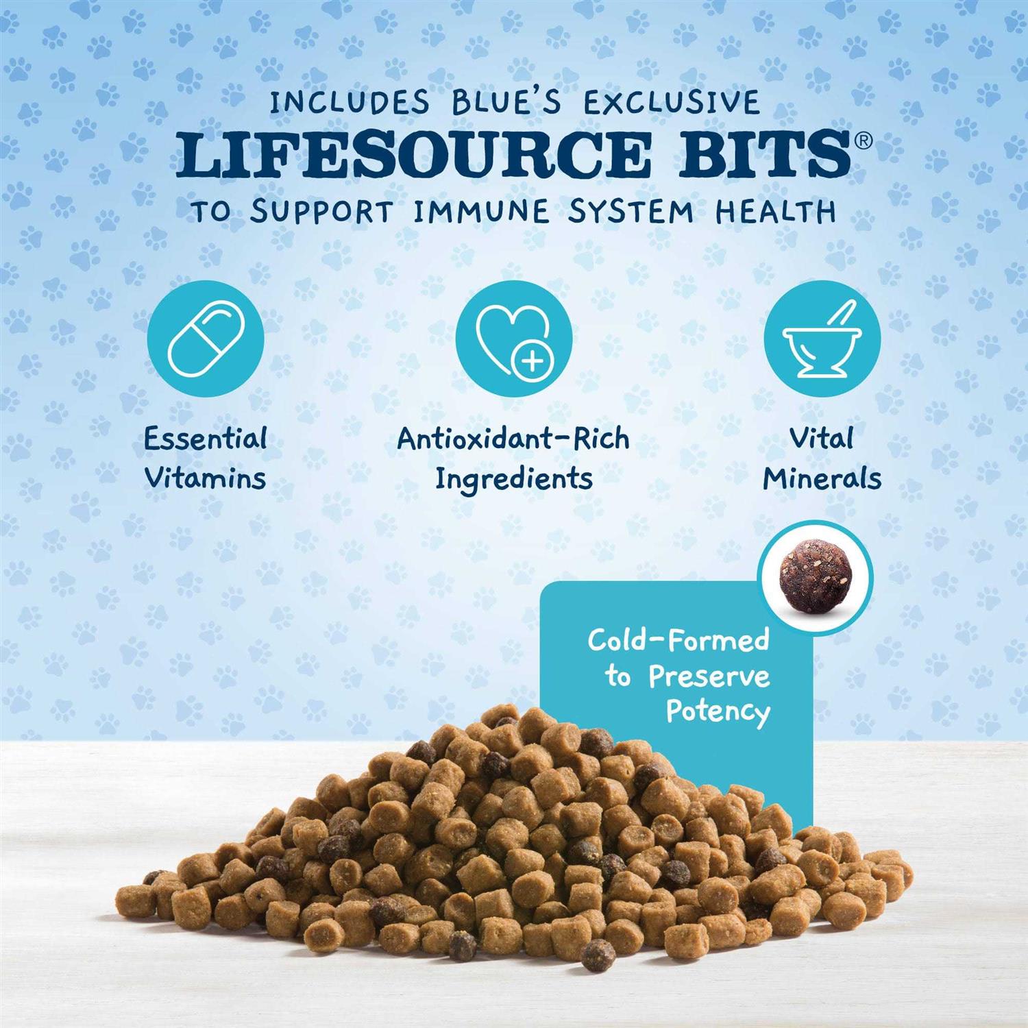 Natural Dry Kitten Food High Protein P8594