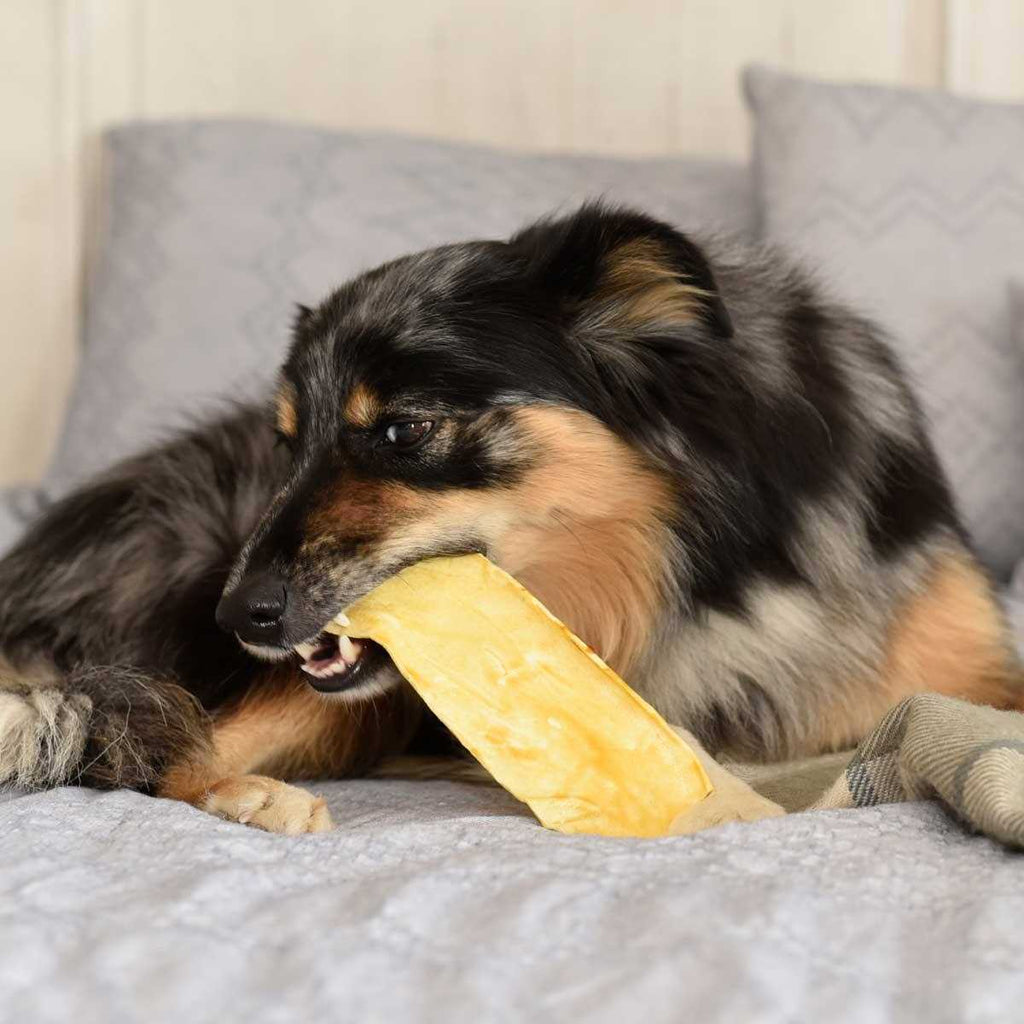 Dental Chewz Dog Treats R173