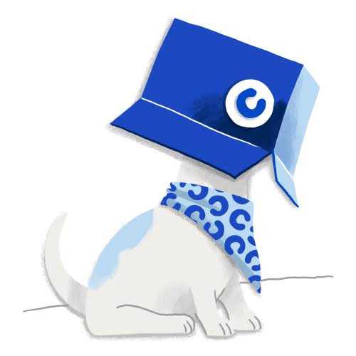 Interactive Puzzle Game Dog Toys for Cats and Dogs Z513667