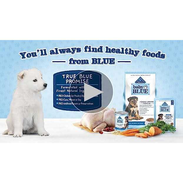 Natural Small Breed Puppy Dry Dog Food, Chicken and Oatmeal Rice Recipe A8655