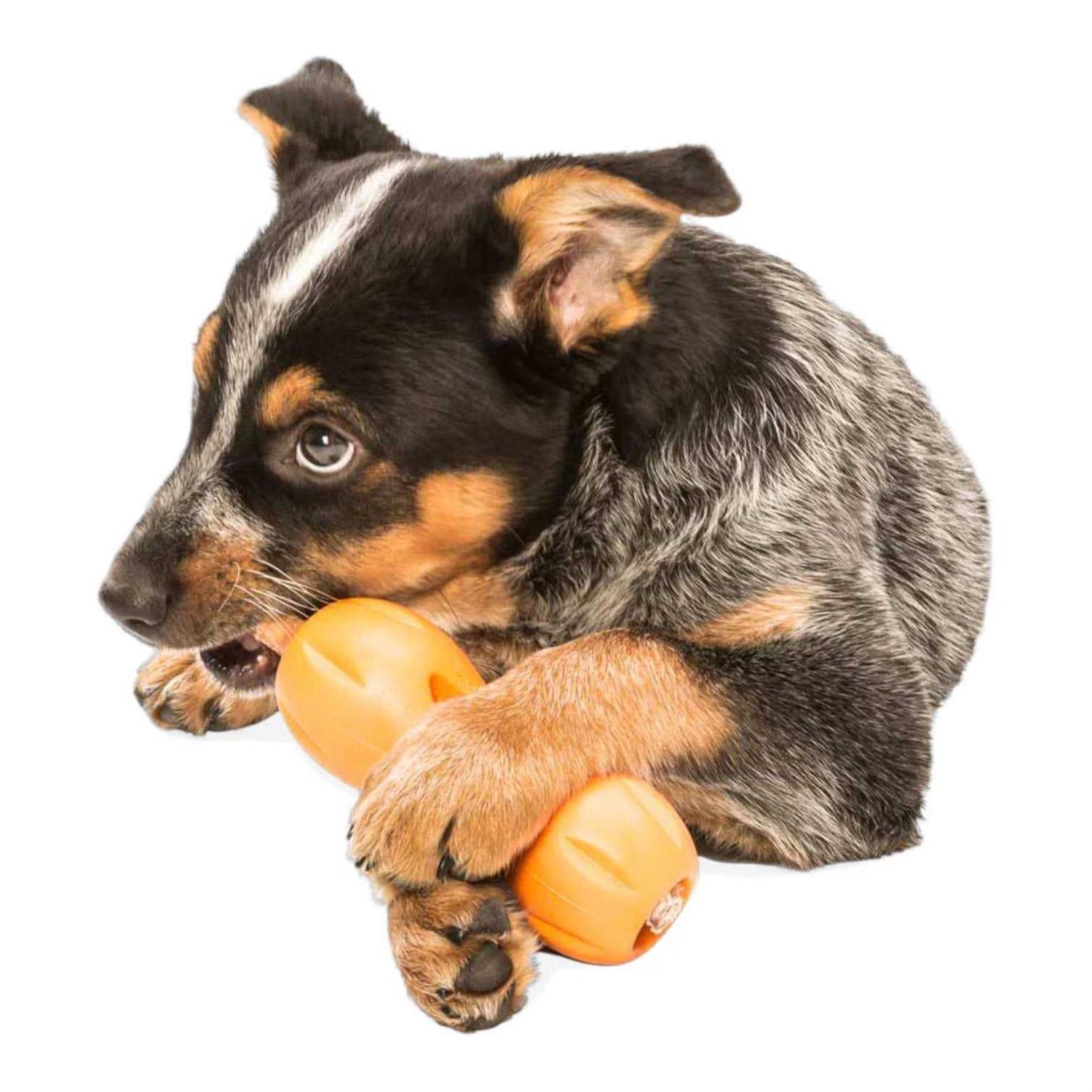 Dog Toy V8531