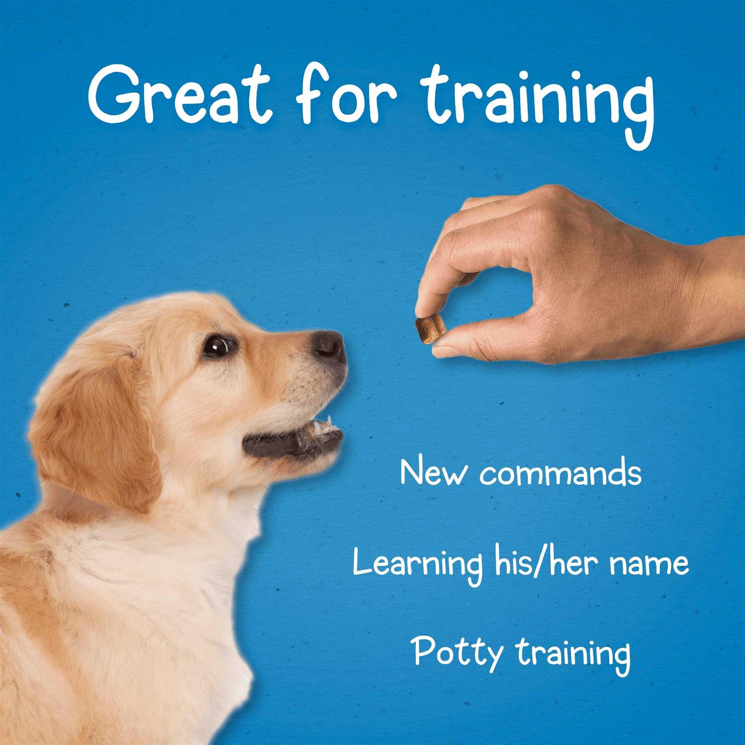 Puppy Training Treats for Dogs C4972