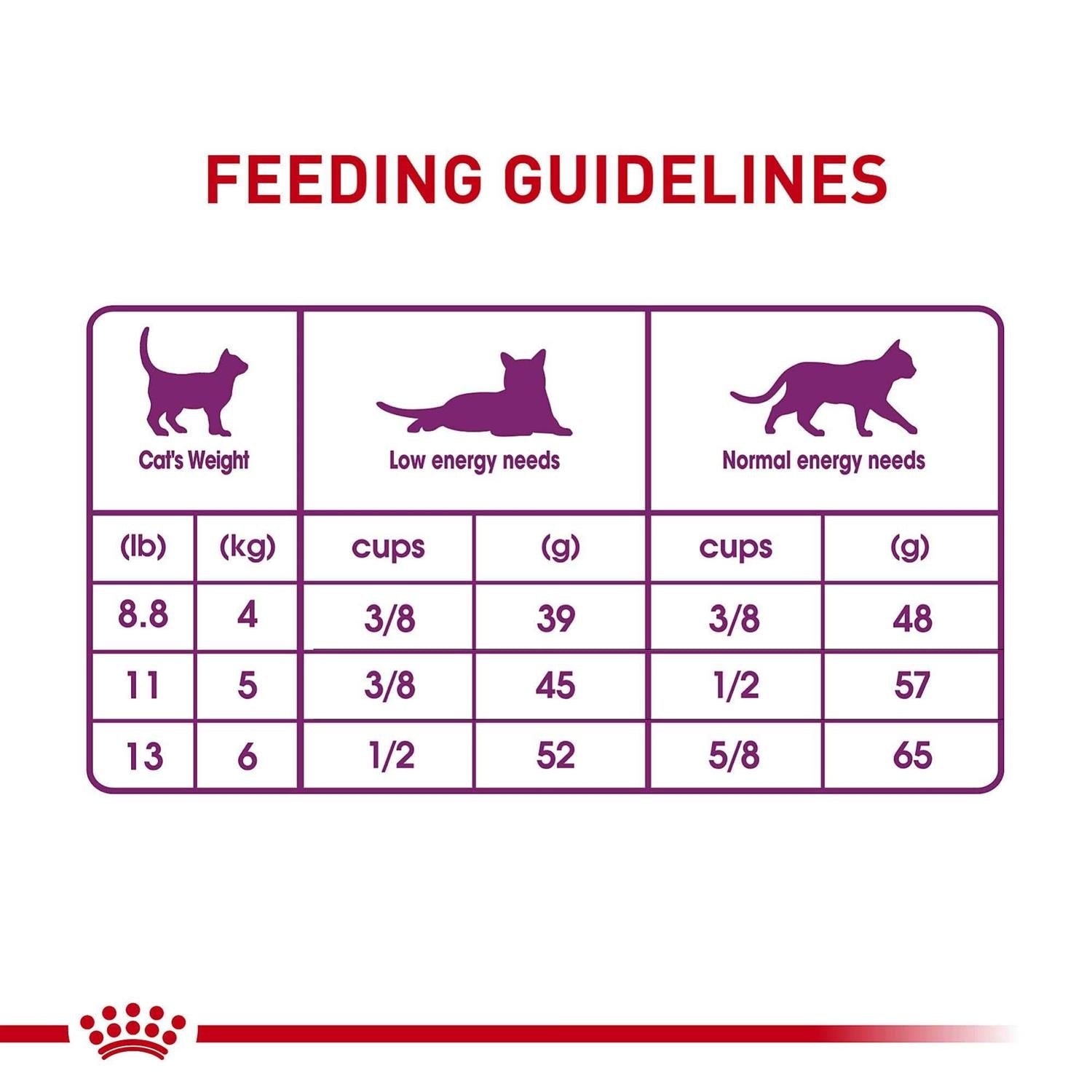 Special 33 Cat Dry Food V5377